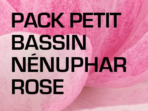 Pack Petit Bassin - Nénuphar rose