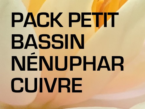 Pack Petit Bassin - Nénuphar cuivre