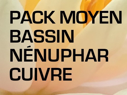 Pack Moyen Bassin - Nénuphar cuivre