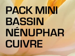 Pack Mini Bassin - Nénuphar cuivre