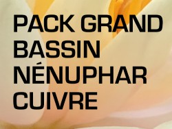 Pack Grand Bassin - Nénuphar cuivre