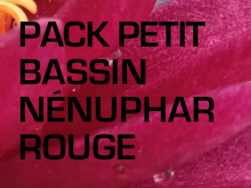 Pack Petit Bassin - Nénuphar rouge