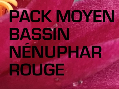 Pack Moyen Bassin - Nénuphar rouge