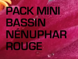 Pack Mini Bassin - Nénuphar rouge
