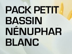 Pack Petit Bassin - Nénuphar blanc