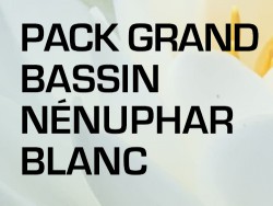 Pack Grand Bassin - Nénuphar blanc