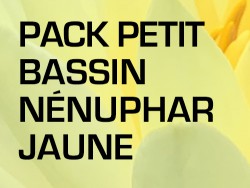 Pack Petit Bassin - Nénuphar jaune
