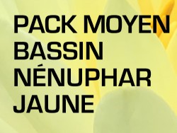 Pack Moyen Bassin - Nénuphar jaune