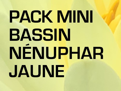 Pack Mini Bassin - Nénuphar rouge