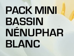 Pack Mini Bassin - Nénuphar blanc