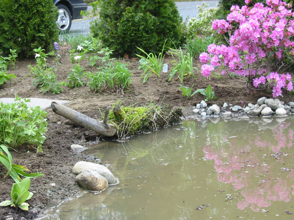 Faire vivre son jardin : bassin, lame d'eau