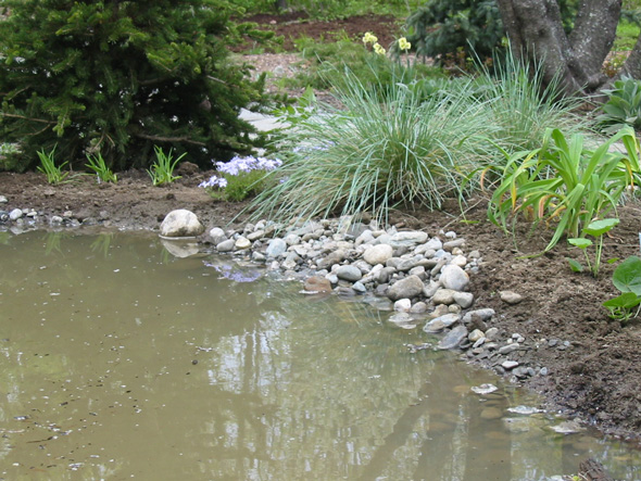Bâche bassin EPDM Oase pour la réalisation de vos bassins de jardin -  Expert Bassin
