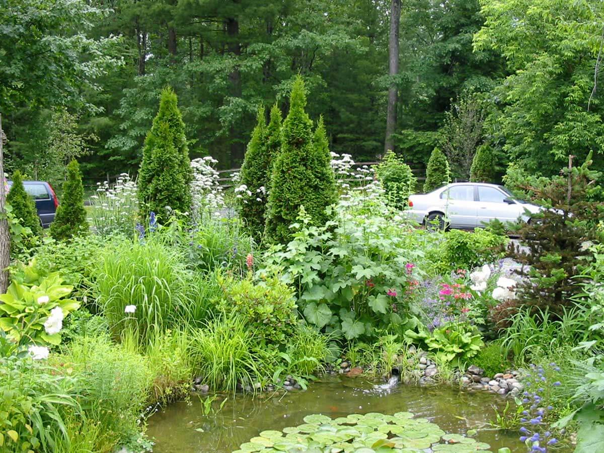 Construire un bassin de jardin en 7 étapes - Le tuto de Mon